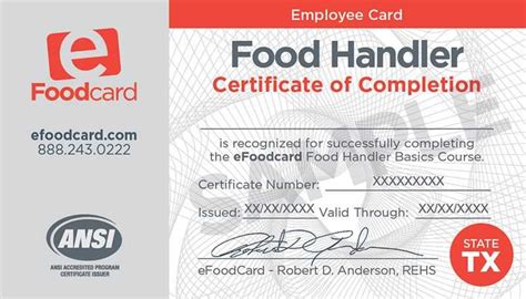 on the fly tabc and food handlers|Food Handlers Card + TABC